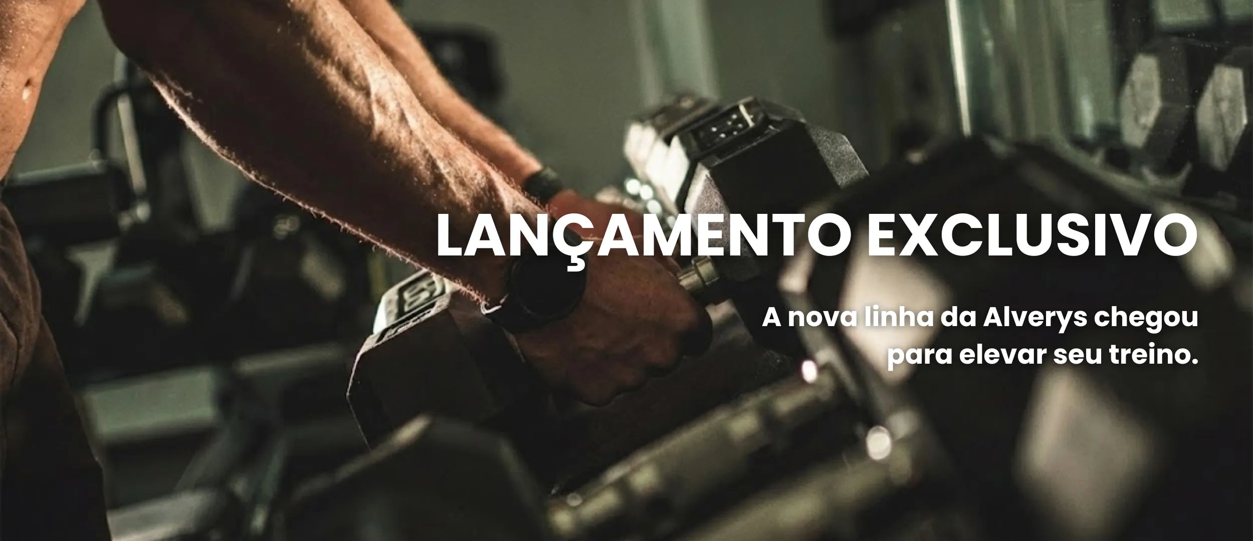 Banner_2_principal_pc